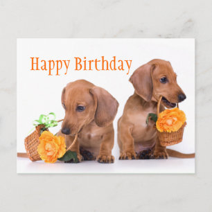 Postal Cumpleaños de Dachshund