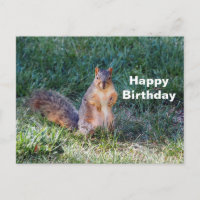 Cumpleaños de foto de ardilla linda
