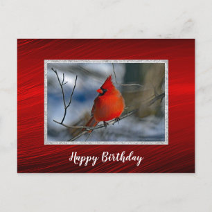 Postal Cumpleaños de Foto de Invierno Rojo Cardenal