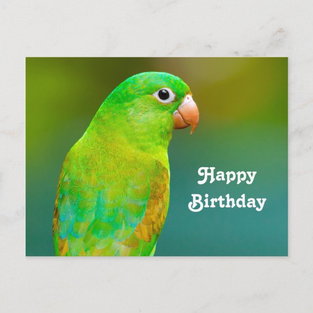 Postal Cumpleaños de Foto de Loro Verde Bonito (Anverso)