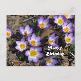 Postal Cumpleaños de Foto Floral de Crocus Morado Bonito