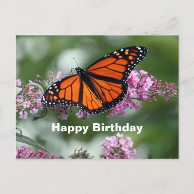 Postal Cumpleaños de foto floral de mariposa naranja mona (Anverso)