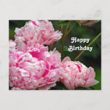 Cumpleaños de Foto Floral de Peonías Rosas Bonitas