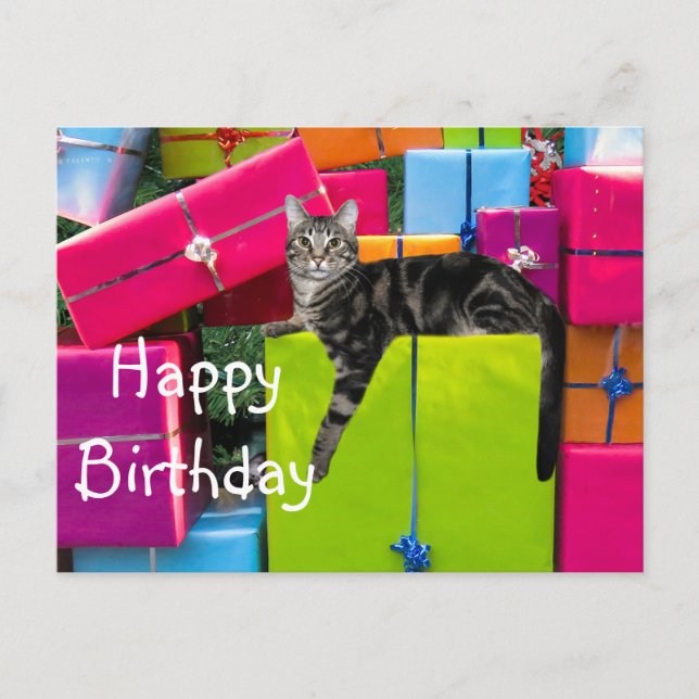 Postal Cumpleaños de gato atigrado (Anverso)