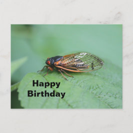 Postal Cumpleaños de la Foto Cicada
