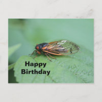 Cumpleaños de la foto de la cigarra