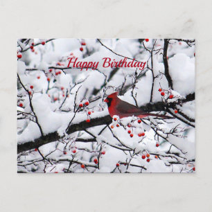 Postal Cumpleaños de la foto del árbol de nieve del carde