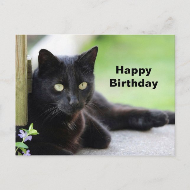 Postal Cumpleaños de la foto del gato negro de bonito (Anverso)