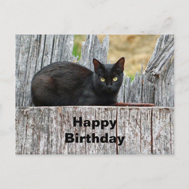 Postal Cumpleaños de la foto del registro de gato negro d (Anverso)