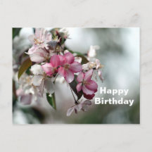 Cumpleaños de la foto floral de Apple Rosa bonito