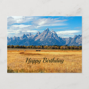 Postal Cumpleaños de las hermosas montañas del campo dora