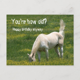 Postal Cumpleaños de los Caballos