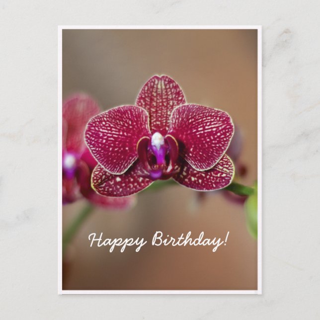 Postal Cumpleaños de orquídea roja hermosa personalizable (Anverso)