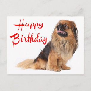 Postal Cumpleaños de Pekínés Amante de Perrito Adorable