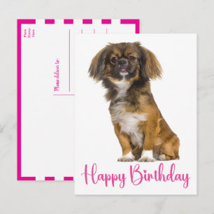 Postal Cumpleaños de perro lindo de Pekín