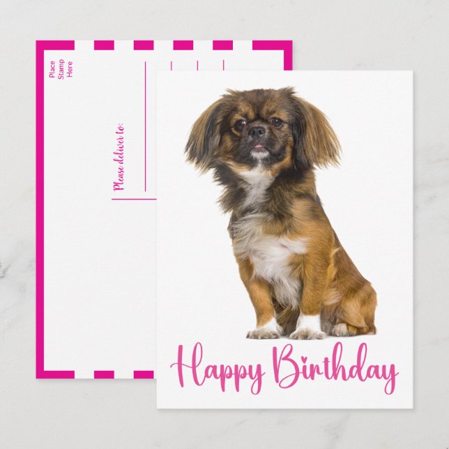 Postal Cumpleaños de perro lindo de Pekín  (Anverso / Reverso)