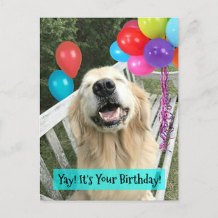 Postal Cumpleaños de perro Retriever Dorado con globos