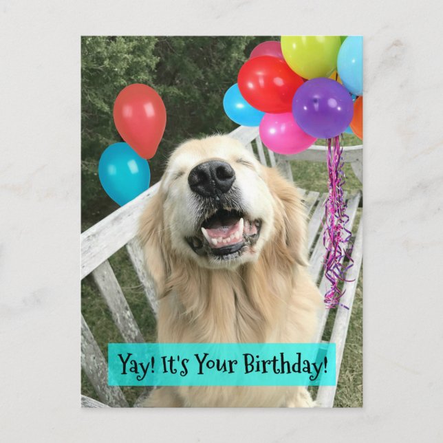 Postal Cumpleaños de perro retriever dorado con globos (Anverso)