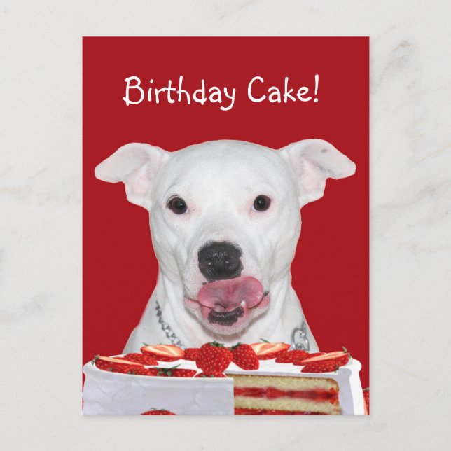 Postal Cumpleaños de Pit Bull Terrier (Anverso)