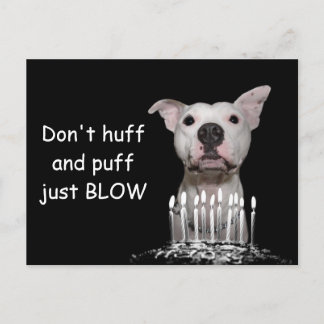 Postal Cumpleaños de Pitbull Blanco