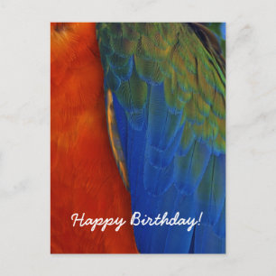 Postal Cumpleaños de pluma de loro guacamayo colorido per