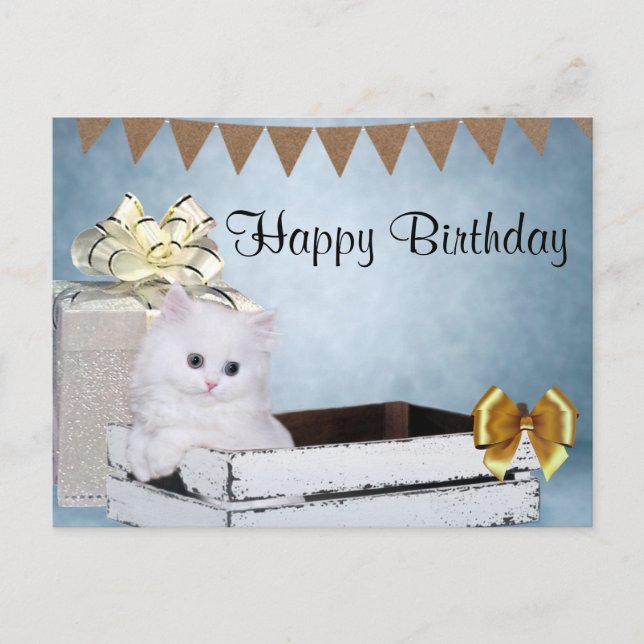 Postal Cumpleaños del gatito persa blanco (Anverso)