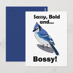 Postal Cumpleaños del pájaro azul Jay descarado audaz y m