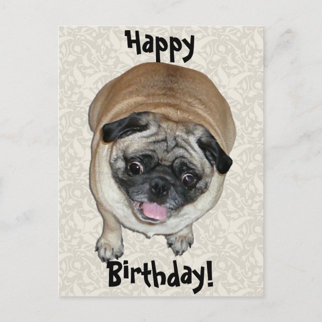 Postal Cumpleaños del perro de pug de Cute (Anverso)