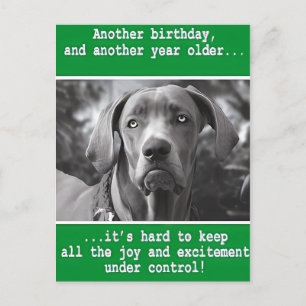 Postal Cumpleaños divertido con foto de perro personaliza