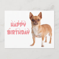 Cumpleaños Divertido de Perrito Chihuahua Adorable
