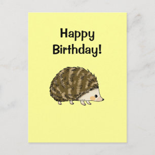 Postal Cumpleaños! (erizo)