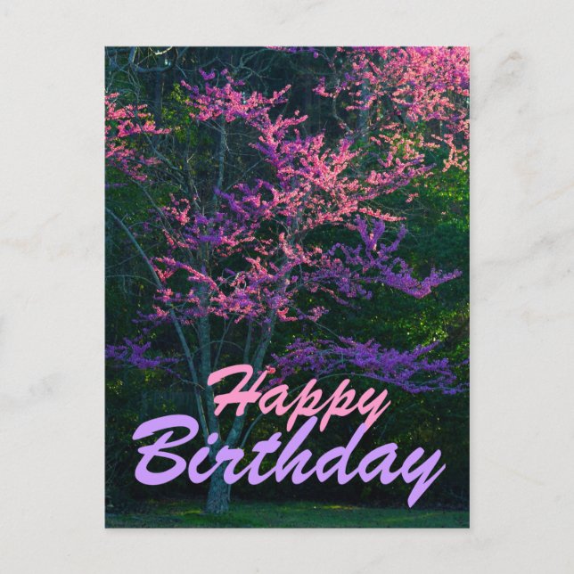 Postal Cumpleaños feliz - Árbol de flores Redbud (Anverso)