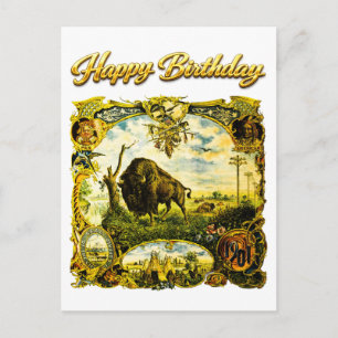 Postal Cumpleaños Feliz Expo Panamericana 1901 Búfalo NY