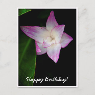Postal Cumpleaños Feliz Flor Rosa Delicada
