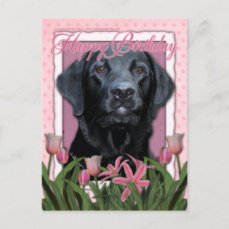 Postal Cumpleaños feliz - Labrador - Negro - Equipamiento