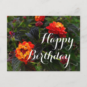 Postal Cumpleaños Feliz Lantana Rastrera Naranja Rojo #1 