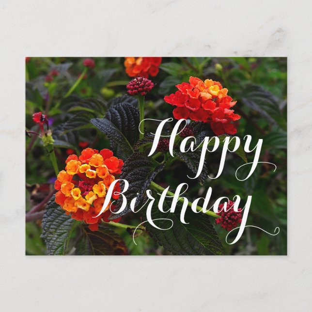 Postal Cumpleaños Feliz Lantana Rastrera Naranja Rojo #1  (Anverso)