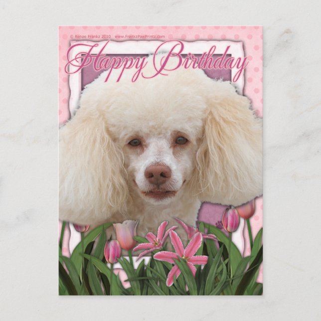 Postal Cumpleaños feliz - Poodle (Anverso)