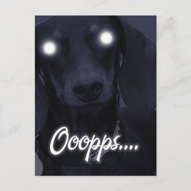 Postal Cumpleaños feliz - Velas trucadas - Dachshund (Anverso)