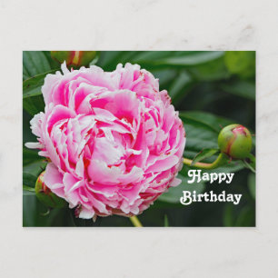 Postal Cumpleaños Floral de Foto de Peonía Rosa Bonita