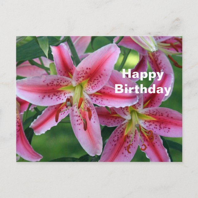 Postal Cumpleaños Floral de Lirio Rosa Bonito (Anverso)