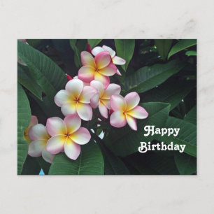 Postal Cumpleaños Floral de Plumeria Rosa y Amarillo Boni