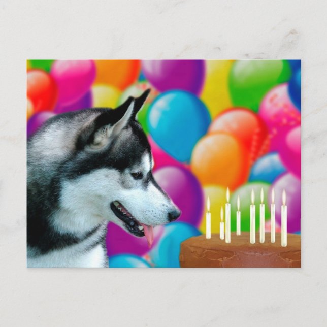 Postal Cumpleaños Husky (Anverso)