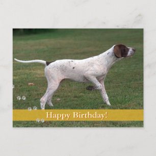 Postal Cumpleaños!   Perro fotográfico