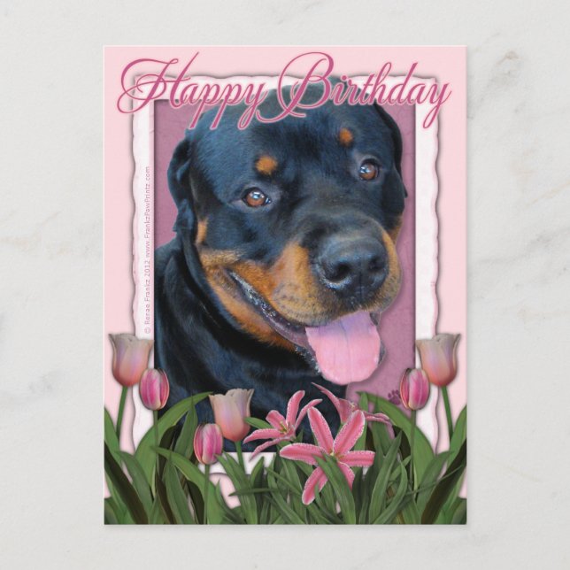 Postal Cumpleaños - Tulipanes rosados - Rottweiler - Harl (Anverso)