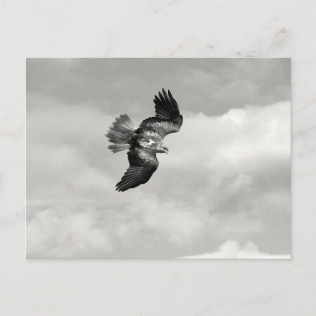 Postal cuña (Anverso)