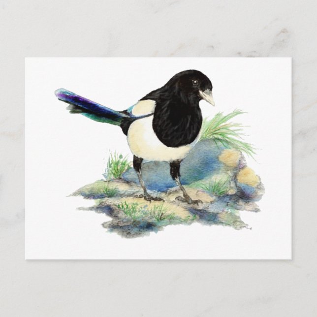Postal Curiosa acuarela Magpie Bird Art (Anverso)
