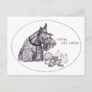 Postal Curiosa mina de terrier escocés, todo mío