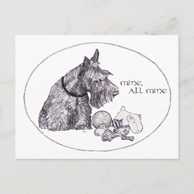 Postal Curiosa mina de terrier escocés, todo mío (Anverso)