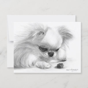 Postal Curiosa obra de arte de perro pintada a mano de Ch